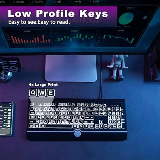 LARGE PRINT BACKLIT KEYBOARD