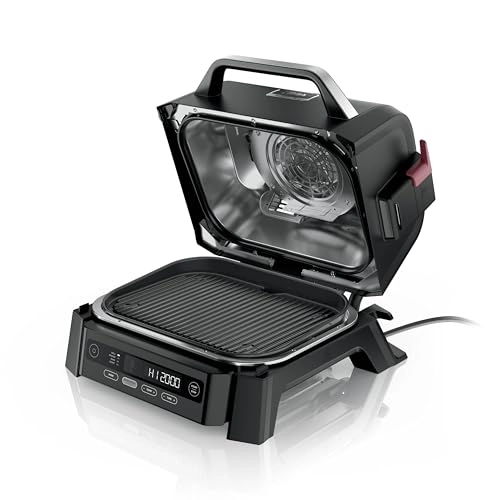 Woodfire Outdoor Grill & Smoker - Electric
