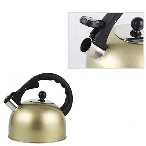 Stovetop Induction Whistling Kettle - 5L