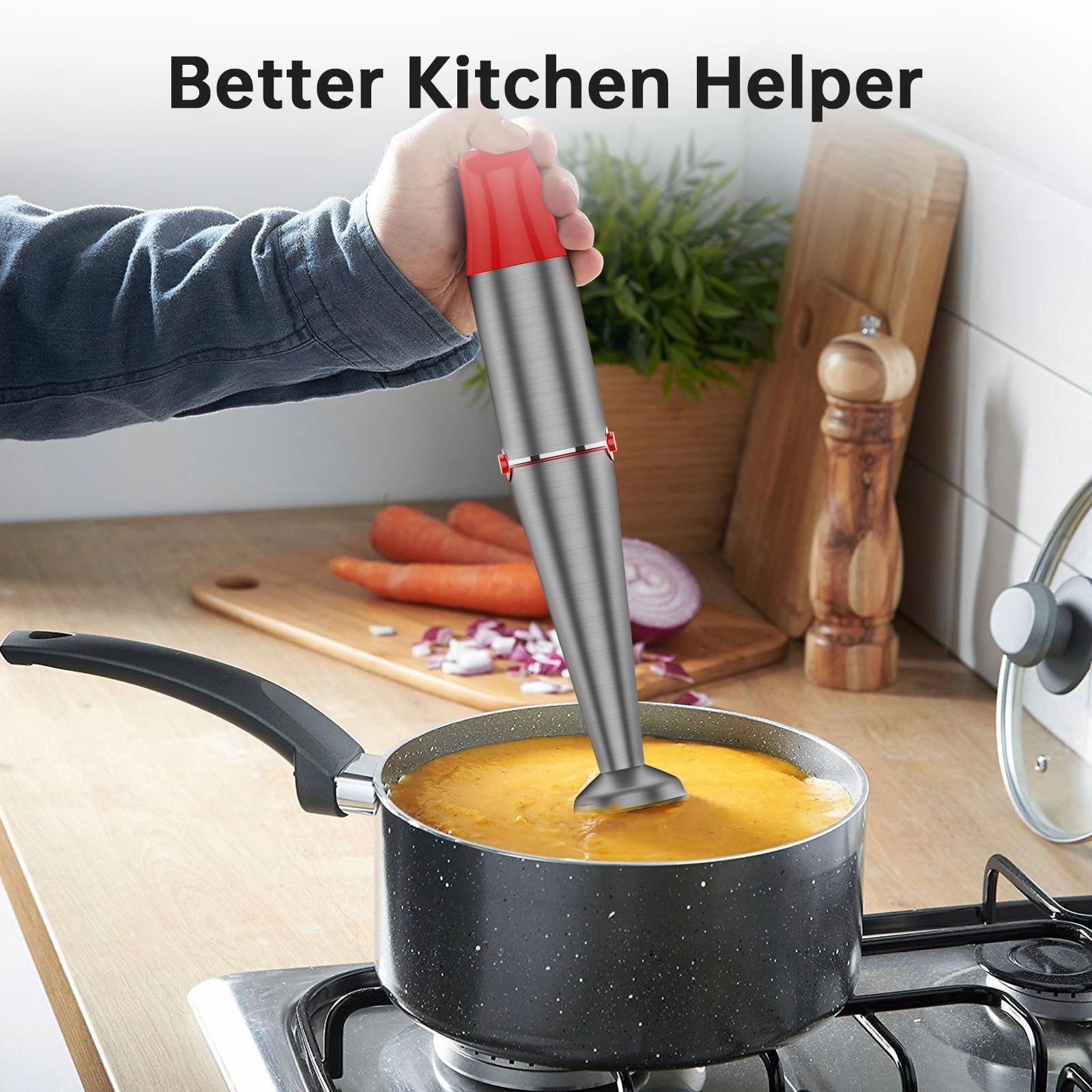 Immersion Blender - 1100W