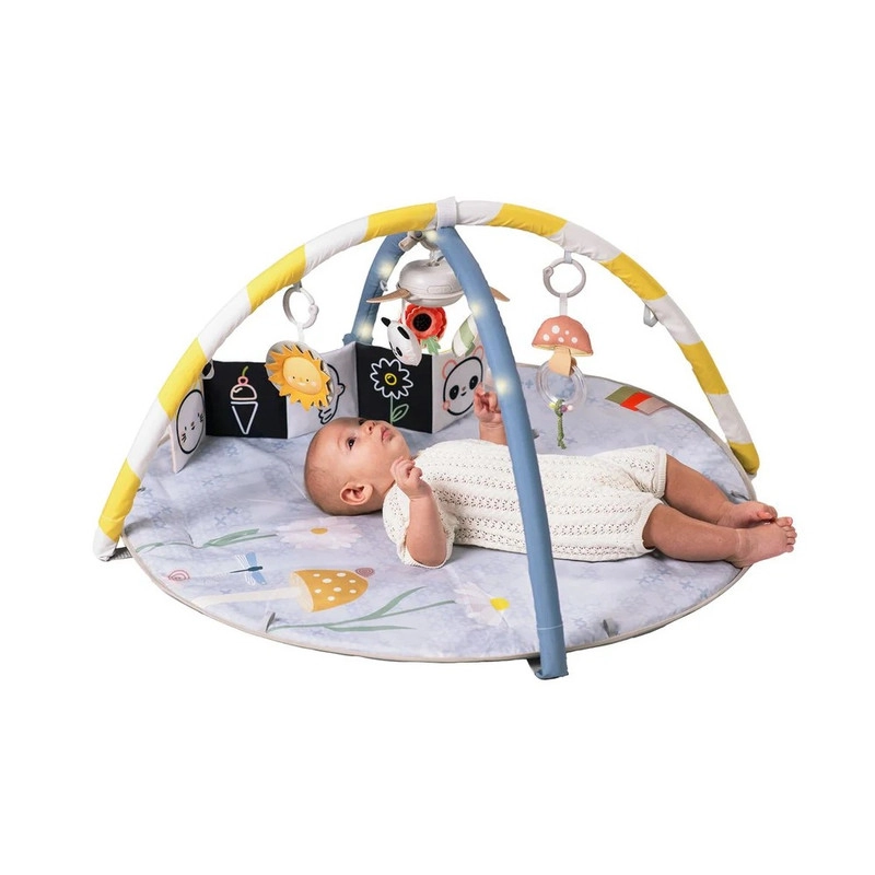 Melody Bloom Gym - 0 month & above