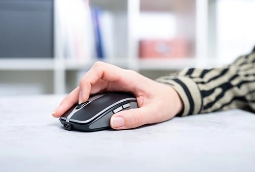 MW 9100 Mouse - Wireless