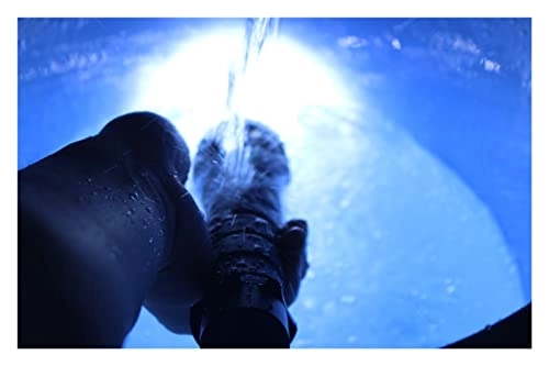 Submersible Light