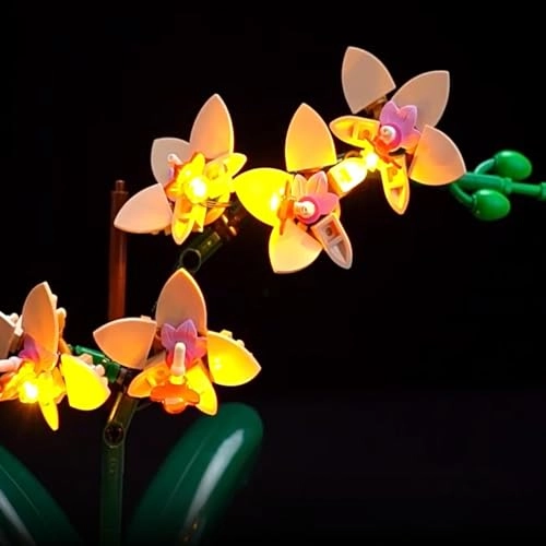 LED Light kit - for Lego 10343 Fortune Bamboo Model Classic