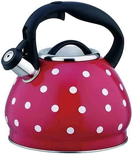 Tea Kettle - 304 stainless steel 3L