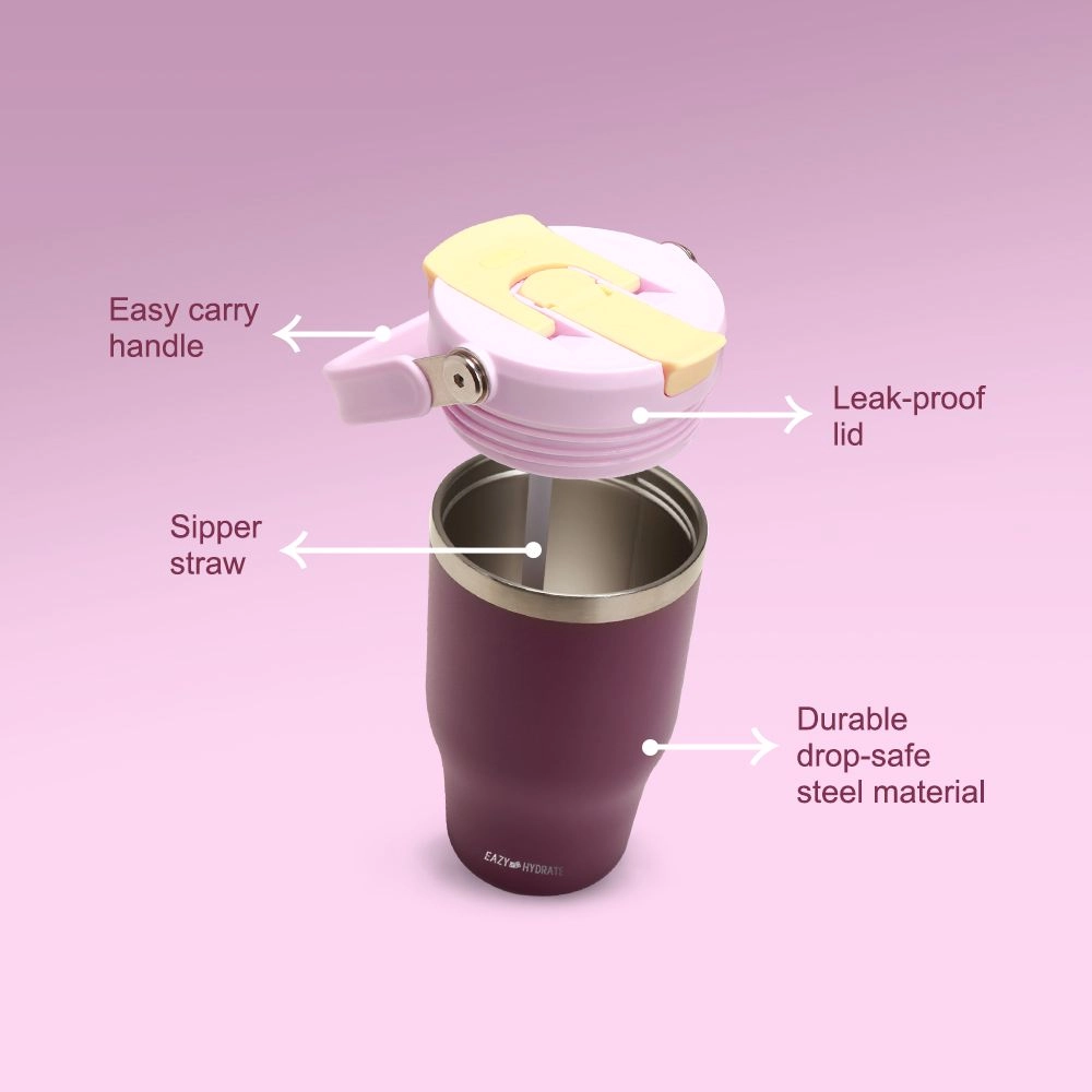 Vacuum Insulated Tumbler - 500ml