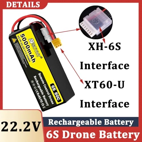 Lipo Battery 6S - 22.2V 5000mAh XT60