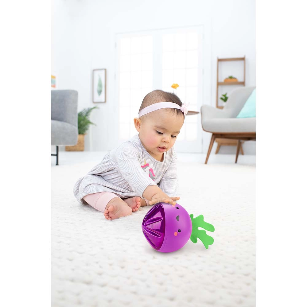 Farmstand Beetbox - 6 months