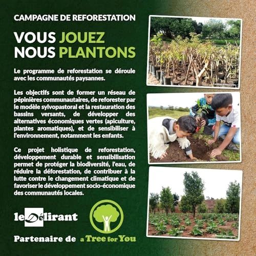 TOC 6 - Solid acacia wood Strategy