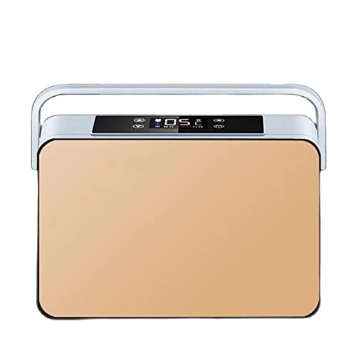 Insulin refrigerator - Two Battery Portable