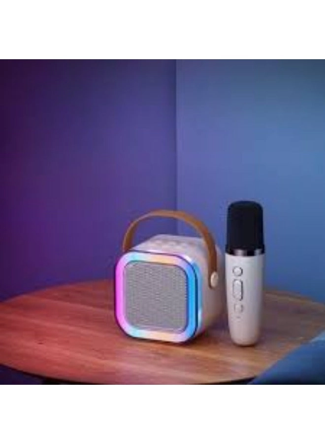 K12 - 2 Wireless Microphones