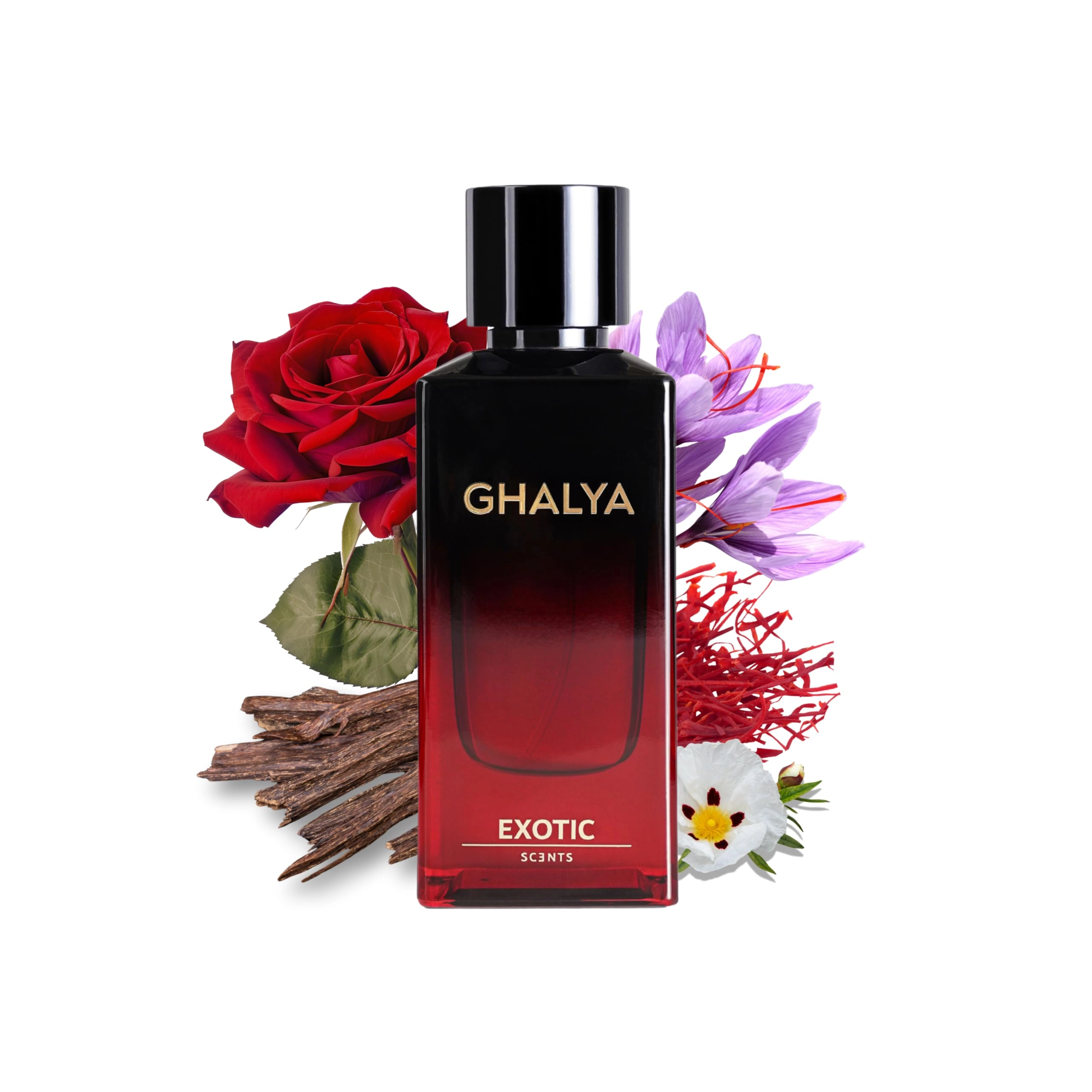 Amana Business Group GHALYA - Eau de Parfum 80ml