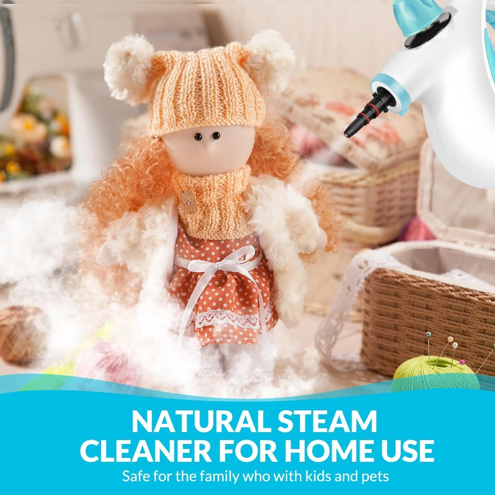 Steam Cleaner - 350 Milliliters