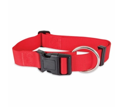 Nylon Adjustable Dog Collar - 1 1/2"X20-30" Dog