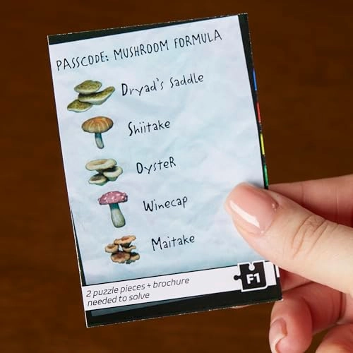 CLUE: Escape The Worlds FAIR