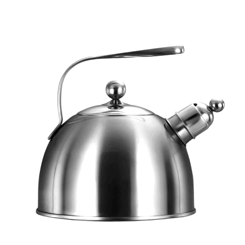 Kettle - Stainless Steel Auburn