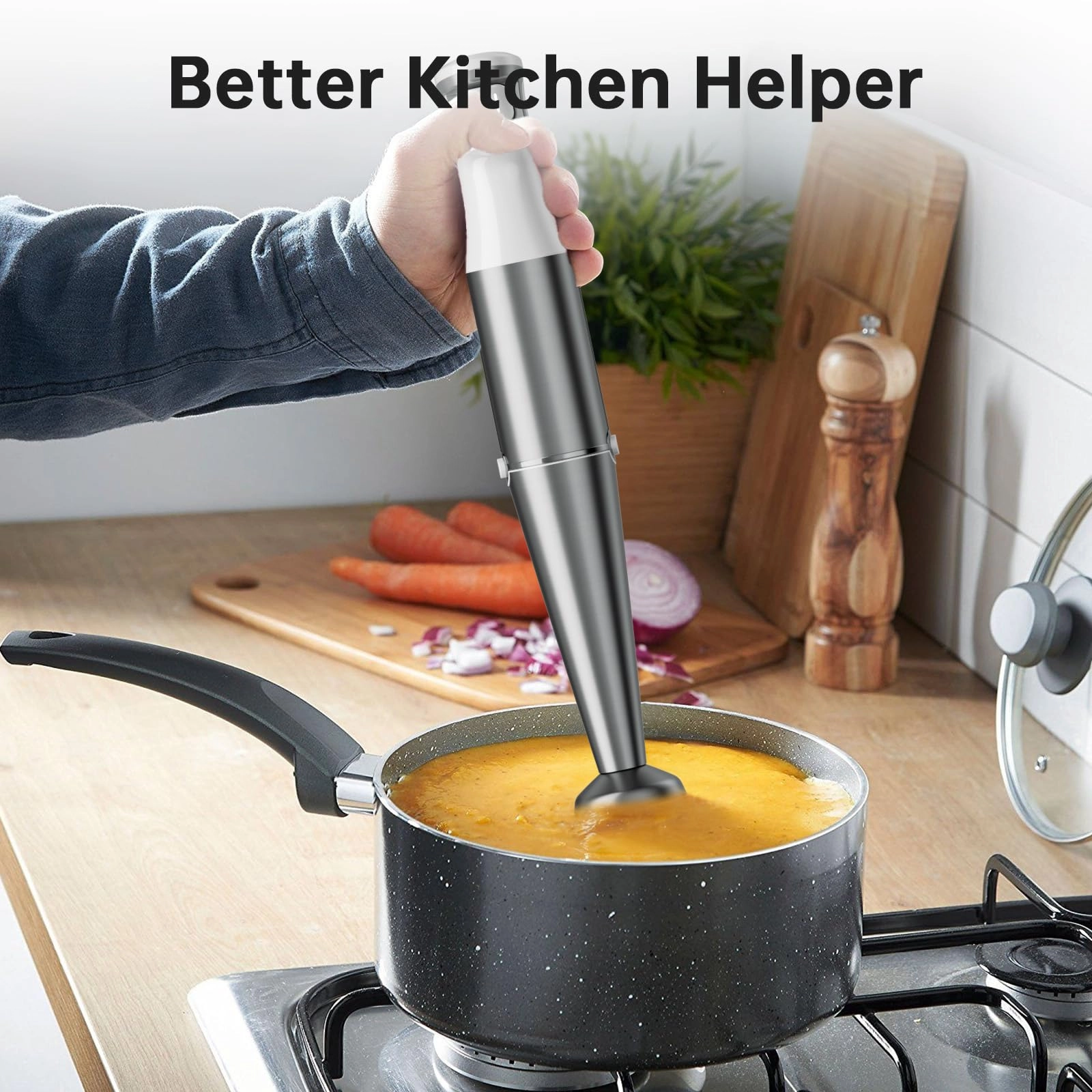 Immersion Blender - 1100W