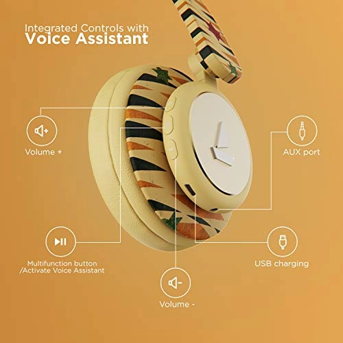 Rockerz 450 Wireless Headphone