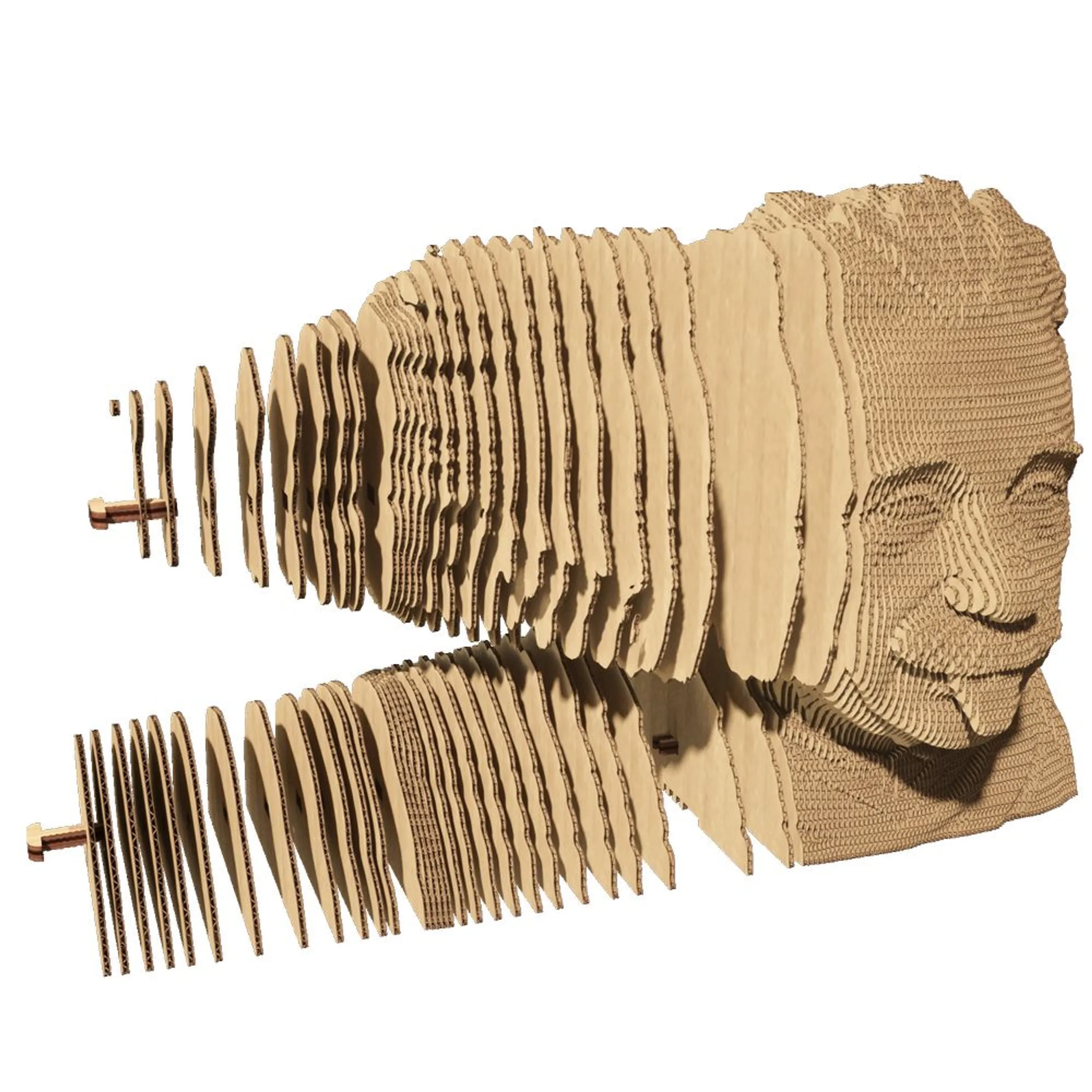 Albert Einstein 3D Puzzle (CARTMALB) - 172 pcs