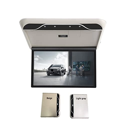 Car Ceiling Display - 19 Inch