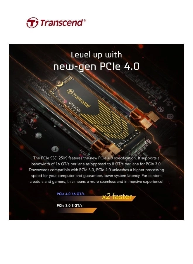 MTE250S - 1 TB M.2 2280