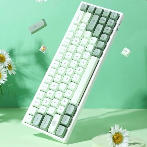 WK68 - Wired/Wireless