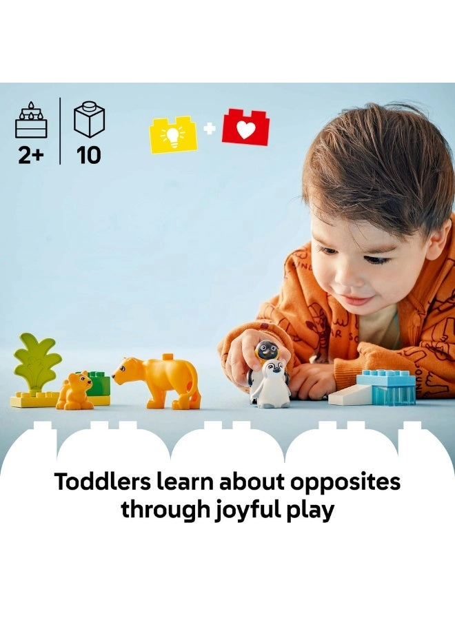 Wild Animal Families: Penguins & Lions (6518545) 10 pcs