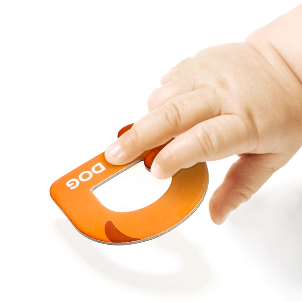 Alphabet Magnets - 3 +