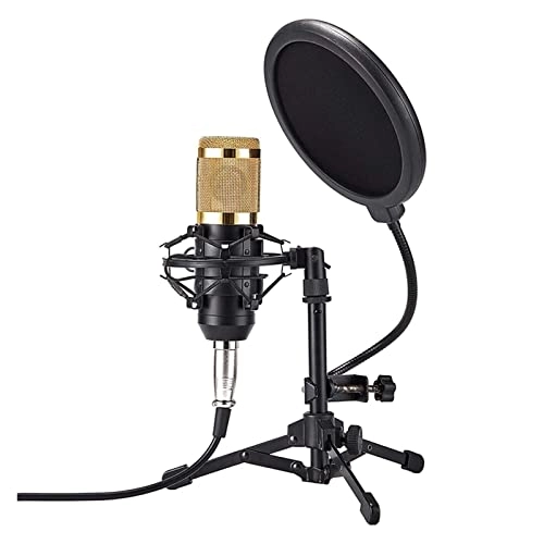 ss1/i46574 USB Microphone