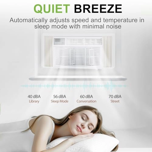 Window Air Conditioner - 1091 watts