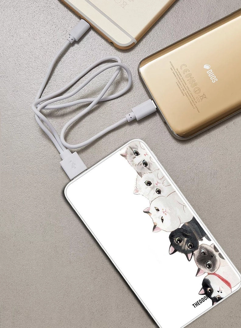 EX_PPBA117 - 10000mAh 18W Quick Charging 3.0