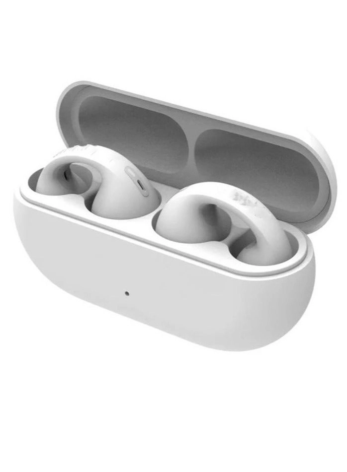 Wireless Bluetooth Earphones