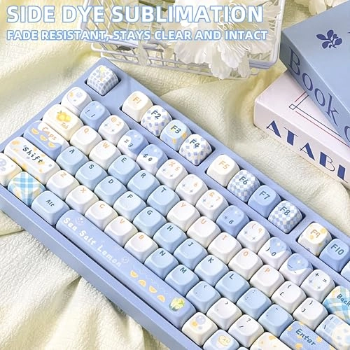 PBT Keycaps - ANSI US layout ISO UK layout Keycap Puller