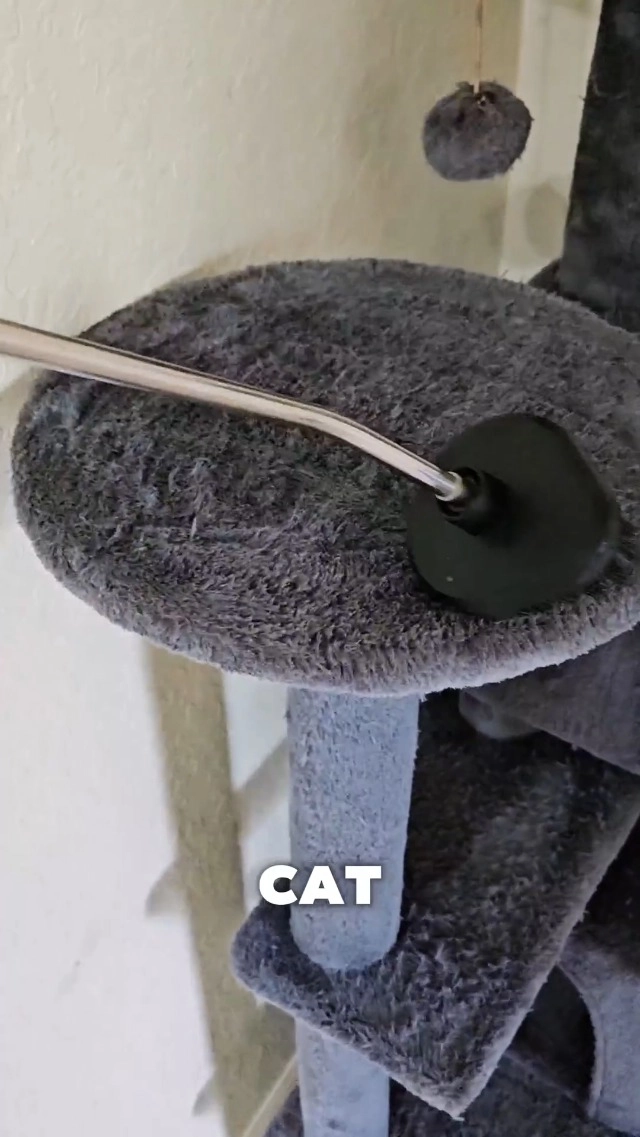 High Pressure Steam Cleaner - 3BAR