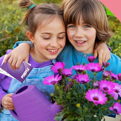 Search and Find Treasure Hunt Card Game - English 3 years and up 50 piece(s)