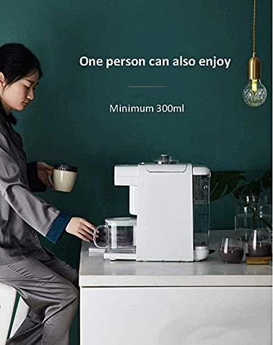 Fruit juicer - 300ml