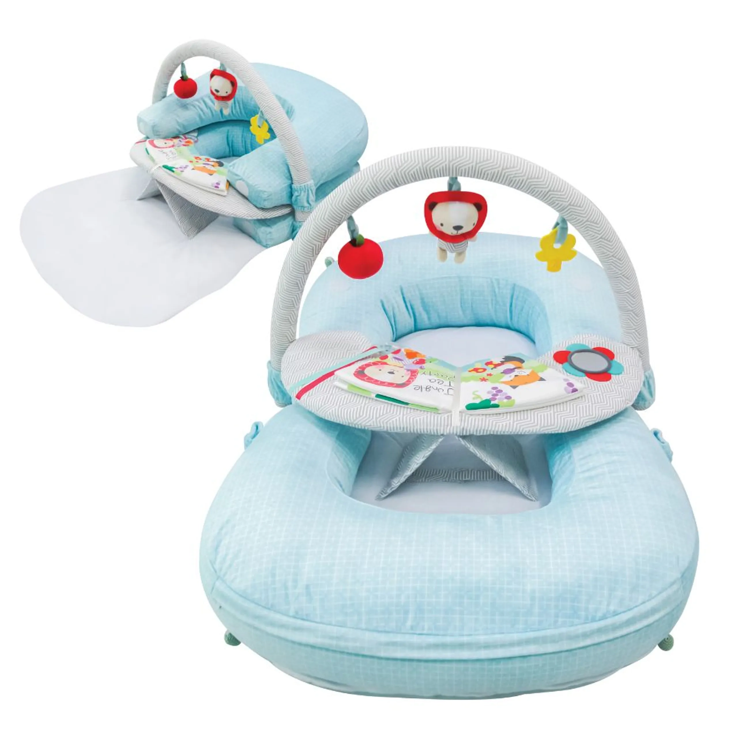 Chirpy Portable Activity Gym Play Mat - 0 months