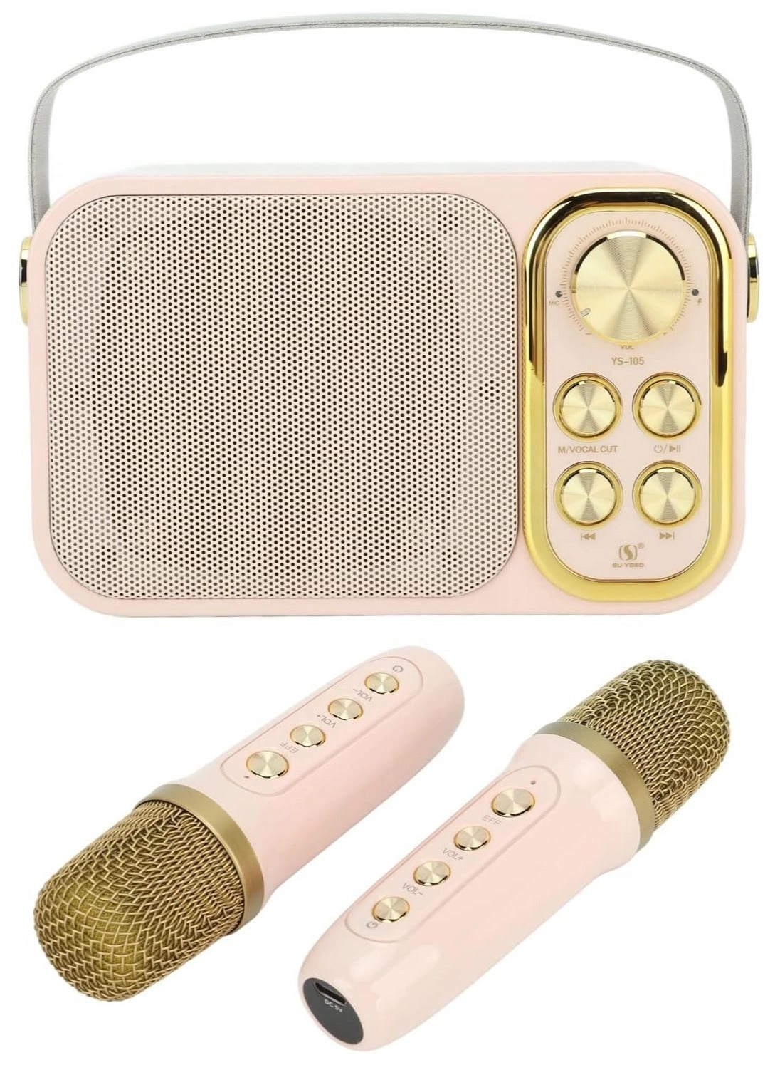 Outdoor Party Vocal Machine - 2 microphones