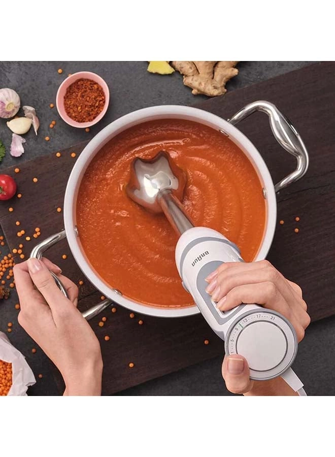 MultiQuick 5 - 0.500L 1000 W