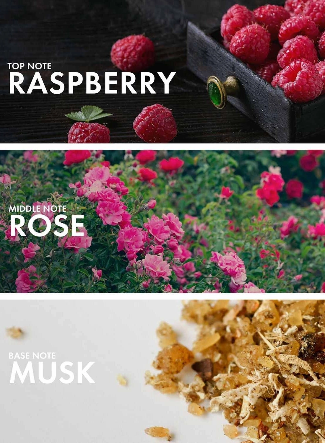 Violet Iris Eau de Parfum 50 ml