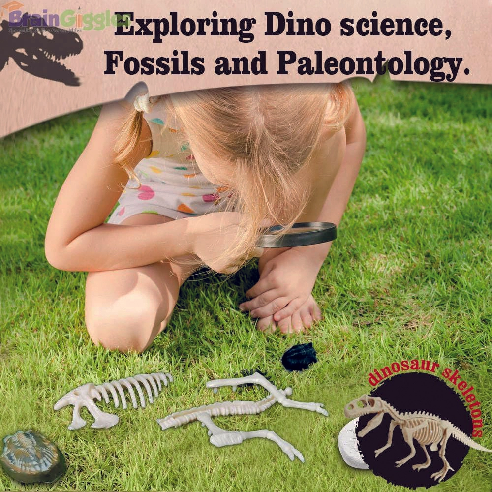 Science Experiment Kit Exploring Prehistoric Life - 8 years+ 17 pieces