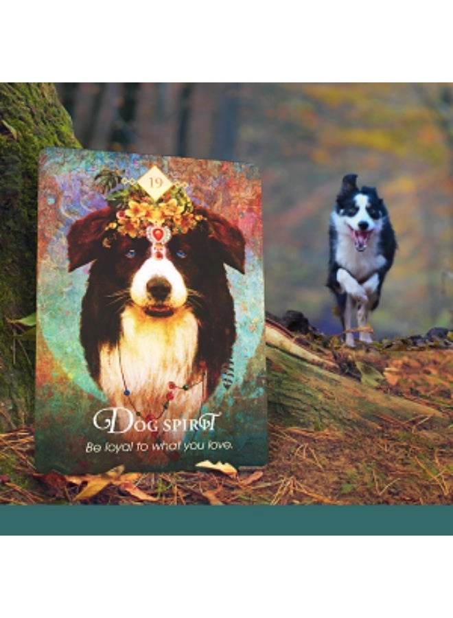 Spirit Animal Wisdom Cards