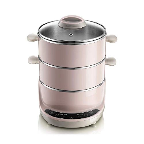 Electric Steamer - 4L 600W 304 Stainless Steel