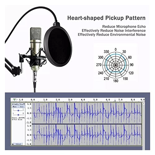 SR-BV4 Wired Microphone