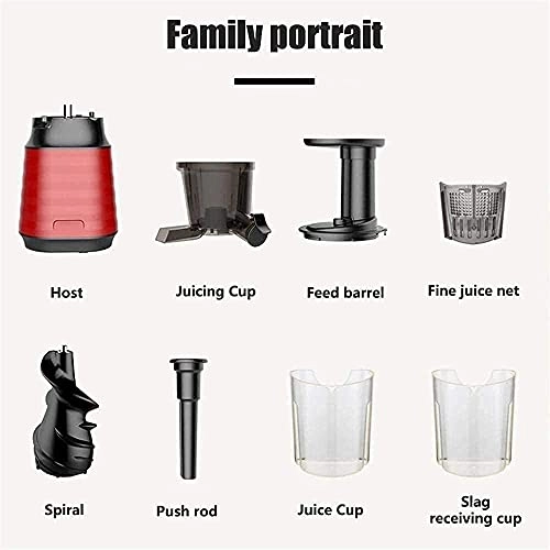Slow Masticating Juicer - Cold Press Portable