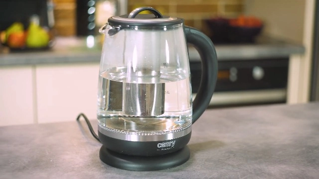 Temperature Control Electric Kettle