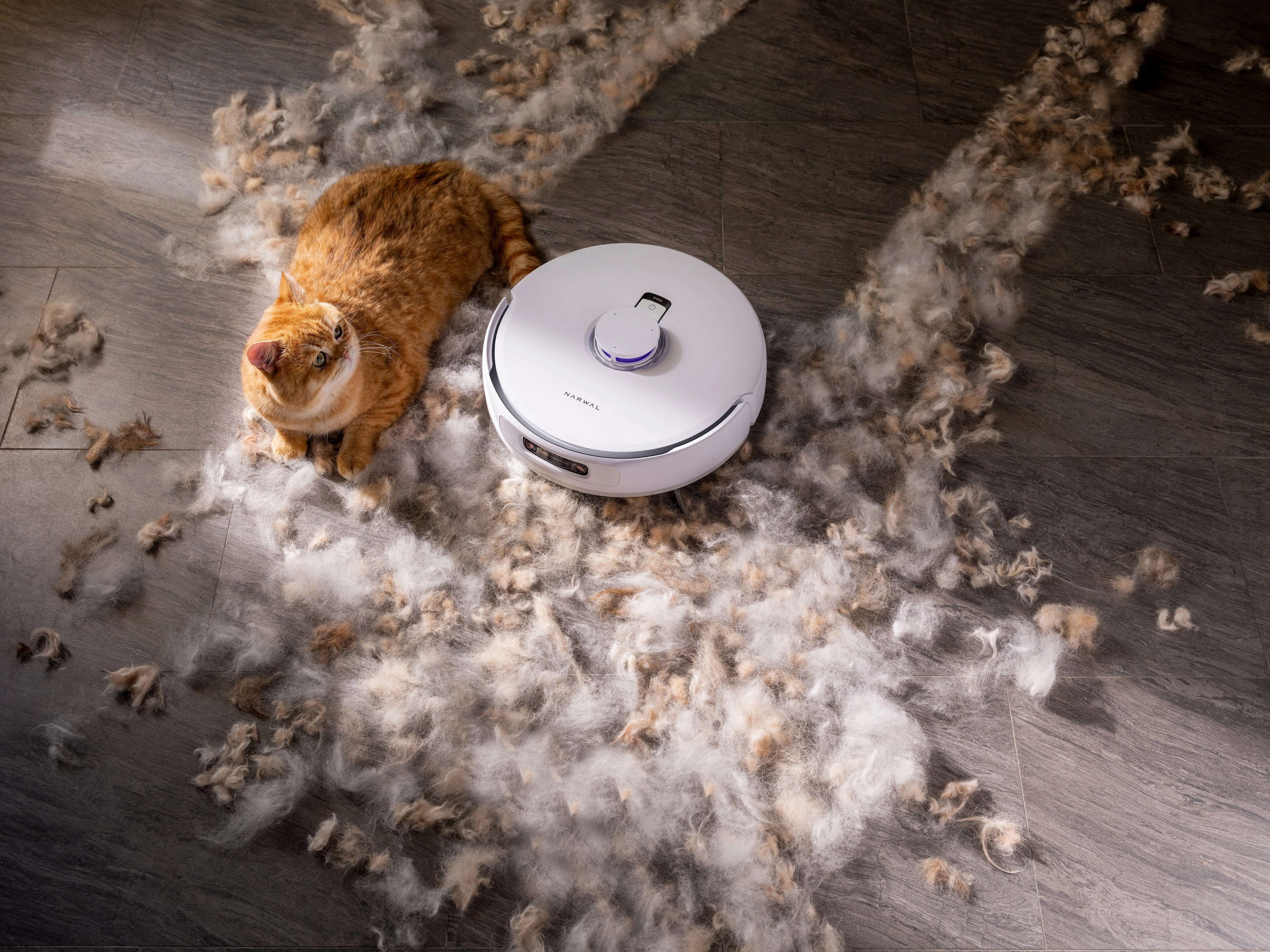 vacuum/mop