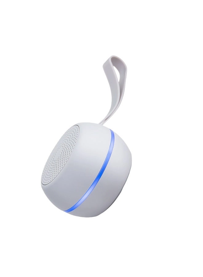 Portable Waterproof Bluetooth Speaker