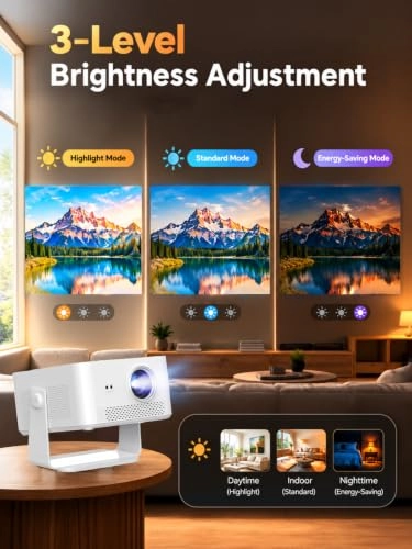 L018 650 ANSI Lumens