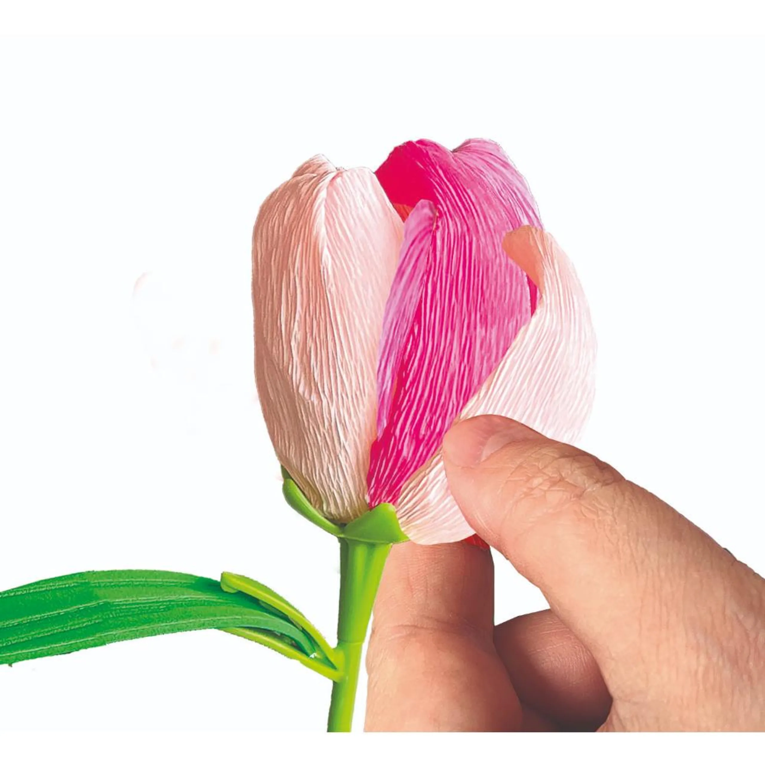 Idea Create Your Flower - Tulip